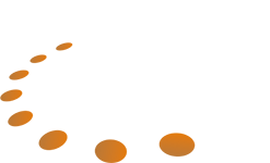 TNV Logo